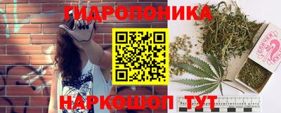 спайс Шелехов