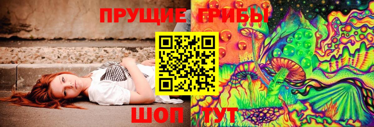 Заводоуковск  Галлюциногенные грибы мухоморы  Псилоцибиновые грибы Psilocybine cubensis  Вход с VPN 