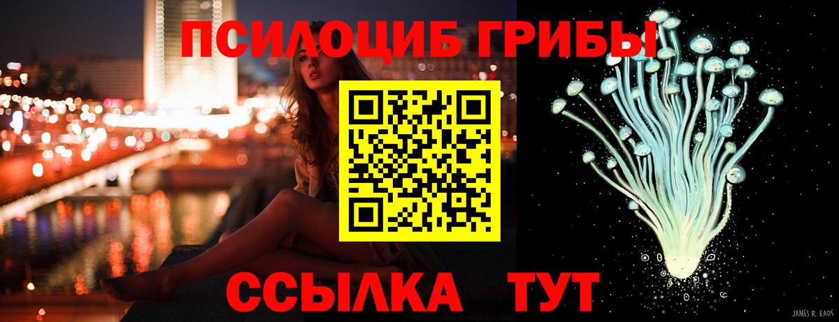Галлюциногенные грибы Cubensis Заводоуковск
